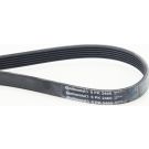 CONTINENTAL CTAM Keilrippenriemen 6PK2460