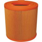 FILTRON Luftfilter AM 475/2