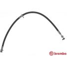 BREMBO Bremsschlauch T 83 099