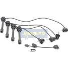 Zündleitungssatz IC-225