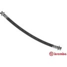 BREMBO Bremsschlauch T 79 031 ESSENTIAL LINE
