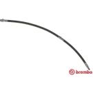 BREMBO Bremsschlauch T 06 037 ESSENTIAL LINE