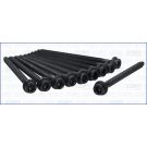 Zylinderkopfschraubensatz 81017400