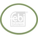 FEBI BILSTEIN Dichtung, Kraftstoffpumpe 174461