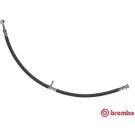BREMBO Bremsschlauch T 79 043 ESSENTIAL LINE