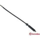 BREMBO Bremsschlauch T 23 050 ESSENTIAL LINE