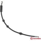 BREMBO Bremsschlauch T 23 033 ESSENTIAL LINE
