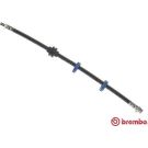 BREMBO Bremsschlauch T 23 115 ESSENTIAL LINE