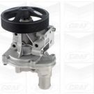 PA 832 Wasserpumpe FORD Transit Diesel 00 PA832