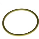 O-Ring F 00R 0P0 353
