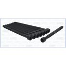 Zylinderkopfschraubensatz 81028800