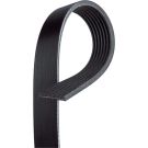 Micro V Riemen 7PK2968