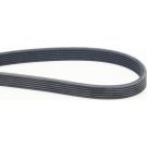 CONTINENTAL CTAM Keilrippenriemen 6DPK1825
