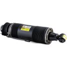 Arnott Luftfederbein HA re SK-2419 Arnott Luftfederbein HA re SK-2419