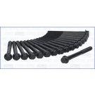 Zylinderkopfschraubensatz 81016400