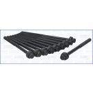 Zylinderkopfschraubensatz 81034300