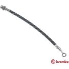 BREMBO Bremsschlauch T 30 106 ESSENTIAL LINE