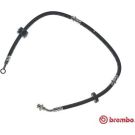 BREMBO Bremsschlauch T 79 009 ESSENTIAL LINE