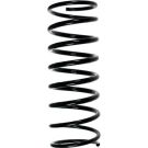 SPIDAN Fahrwerksfeder 49034