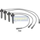 Zündleitungssatz IC-714