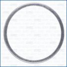 Dichtring, Abgasrohr 19007600