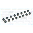 AJUSA Dichtungssatz, Ventilschaft 57042000
