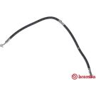 BREMBO Bremsschlauch T 56 180 ESSENTIAL LINE