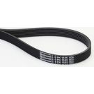 CONTINENTAL CTAM Keilrippenriemen 6PK1555
