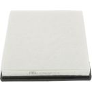 CHAMPION Luftfilter CAF100875P