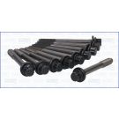 Zylinderkopfschraubensatz AJU81029800