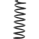 FAHRWERKSFEDER MONSP4316