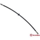 BREMBO Bremsschlauch T 61 055 ESSENTIAL LINE