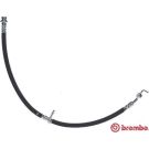 BREMBO Bremsschlauch T 59 084 ESSENTIAL LINE