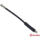 BREMBO Bremsschlauch T 85 143 ESSENTIAL LINE