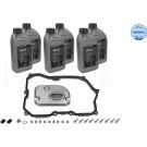 Ölwechselkit mit Öl 1001350107