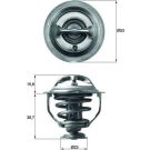 Thermostateinsatz mit Dichtung TX 117 95D