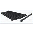 Zylinderkopfschraubensatz 81053400