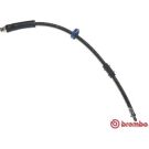 BREMBO Bremsschlauch T 61 031 ESSENTIAL LINE