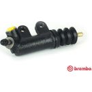 BREMBO Nehmerzylinder, Kupplung E 83 001 ESSENTIAL LINE