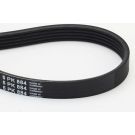 Keilrippenriemen 5Pk884 5PK884