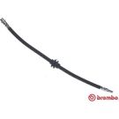 BREMBO Bremsschlauch T 68 089 ESSENTIAL LINE