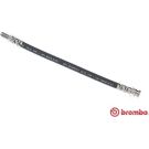 BREMBO Bremsschlauch T 23 191 ESSENTIAL LINE