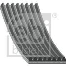 FEBI BILSTEIN Rillenriemen 45001