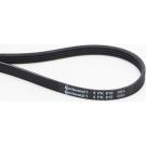 Keilrippenriemen 4Pk810 4PK810