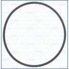 Dichtung, Ansaugkrümmer, Verwendung 24048400