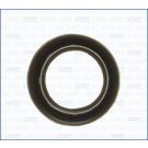 Dichtung 522100