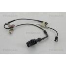 Sensor, Raddrehzahl 818050110