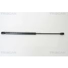 Gasfeder, Koffer-/Laderaum 871016239