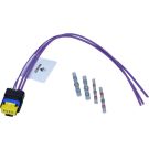 Satz-Reparatur Kabel Renault Laguna Iii, Master Iii, Megane Ii, Scenic Ii 8201348602