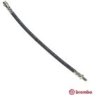 BREMBO Bremsschlauch T 61 020 ESSENTIAL LINE